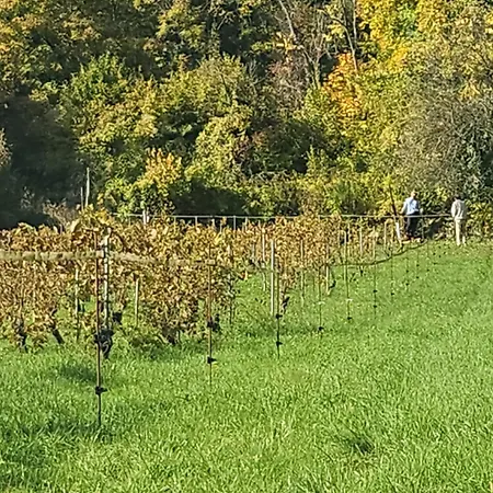 Vila Les Vignes - A 1 Mn De Metz Plappeville