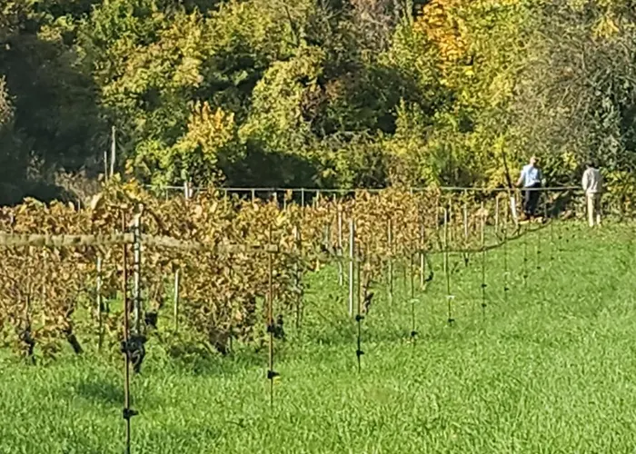 别墅 Les Vignes - A 1 Mn De Metz Plappeville